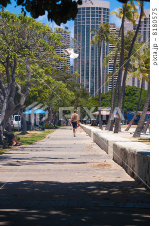 アラモアナビーチ 8180575