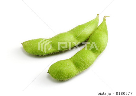 枝豆 8180577