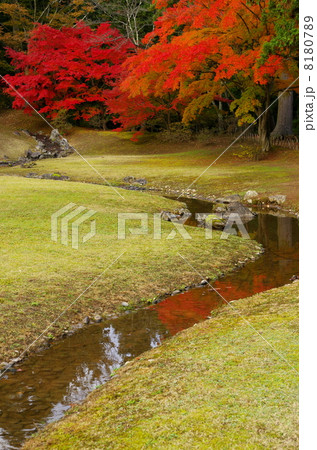 毛越寺　遣水 8180789