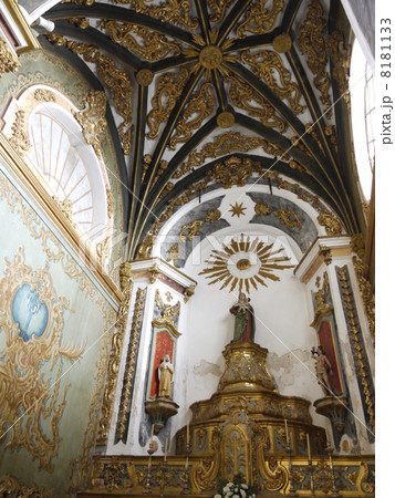 エルヴァス 8181133