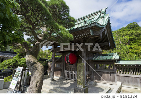 長谷寺山門前 8181324