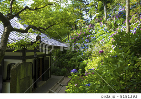 長谷寺眺望散策路から経蔵を見る 8181393