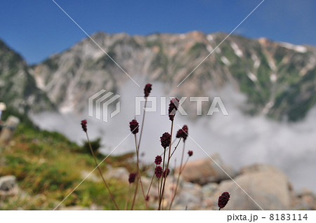 八方尾根自然歩道 8183114