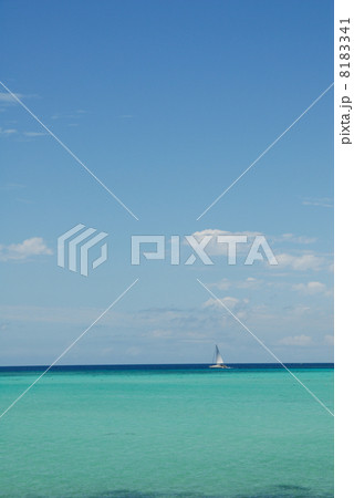 沖縄　宮古島　世渡崎　水平線に浮かぶヨット 8183341