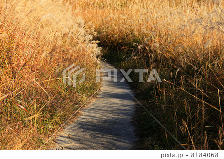 奈良、曽爾高原 奈良、曽爾高原 8184068