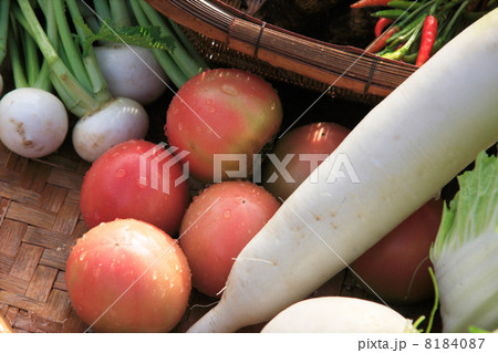 野菜の収穫 野菜の収穫 8184087
