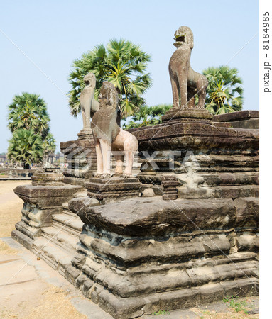 Angkor lions, Cambodia Angkor lions, Cambodia 8184985
