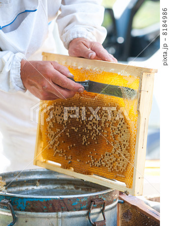 beekeeper at work 8184986