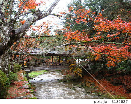 仏通寺の秋 8185627