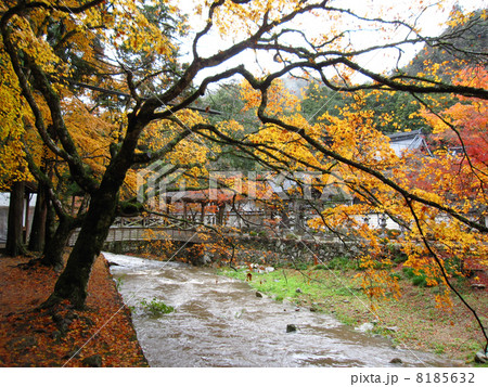 仏通寺の秋 8185632