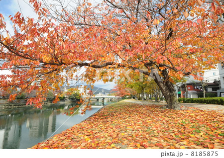 秋の風景 秋の風景 8185875