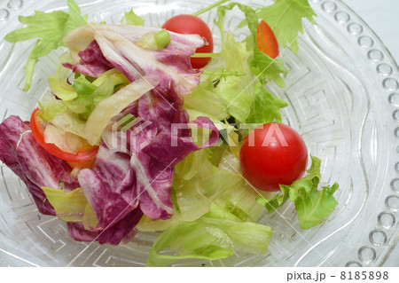 野菜サラダ 8185898