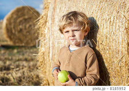 Adorable toddler with apple on golden field 8185952