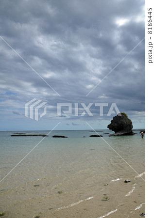 沖縄 新原ビーチ 8186445