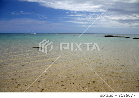 沖縄 新原ビーチ 8186677