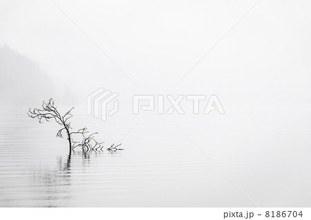 Calm Water Calm Water 8186704