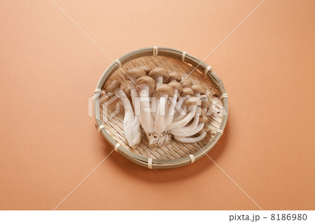 ぶなしめじ 8186980