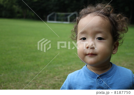 かわいい1才の男の子 8187750