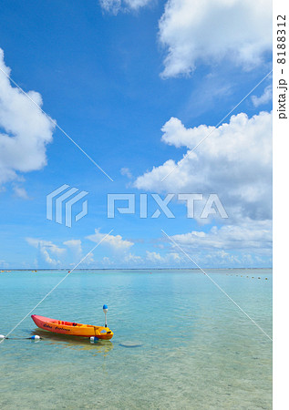 グアム　海　カヤック 8188312