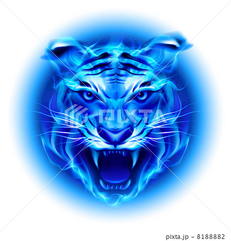 Head of blue fire tiger. 8188882