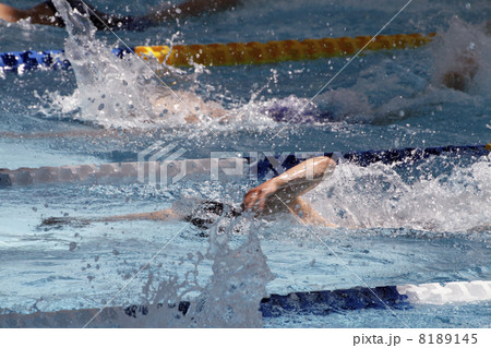 クロール（男子） 8189145