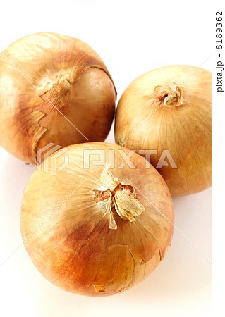 玉ねぎ・４ 8189362