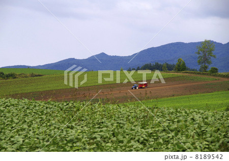北海道らしい風景 8189542