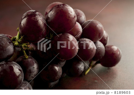 ブドウ 8189603