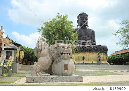 台湾 彰化 八卦山 大仏 8189900