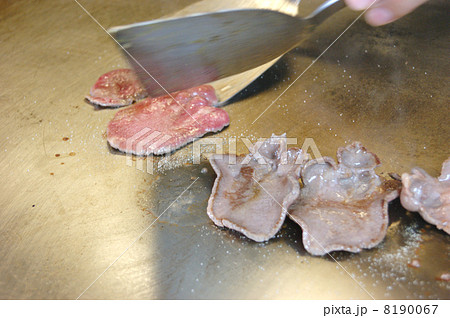 タン タン 8190067