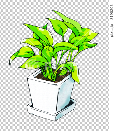 葉子植物potos盆的植物 葉子植物potos盆的植物 8190208