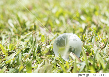 地球儀・芝バック 地球儀・芝バック 8192110