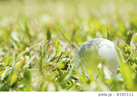 地球儀・芝バック 地球儀・芝バック 8192111