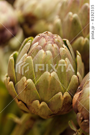 Artichoke 8192535