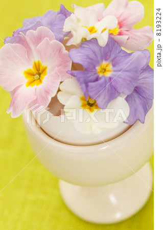 spring flowers 8193224