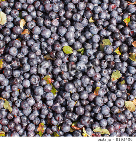 Blueberries background Blueberries background 8193406