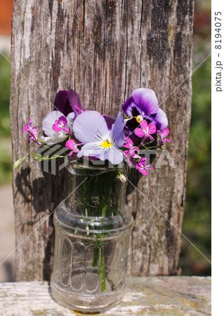 Summer flowers Summer flowers 8194075