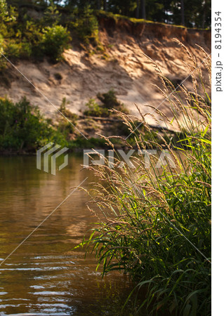 Forest river 8194354