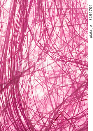 Natural sisal Natural sisal 8194704