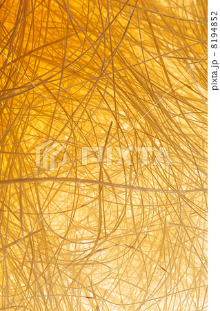 Natural sisal 8194852