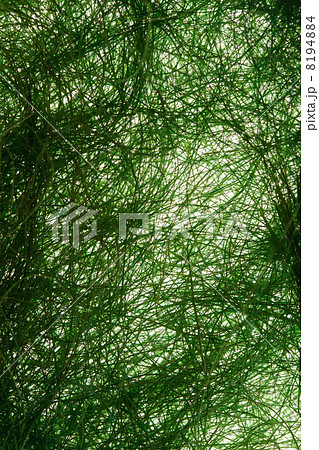 Natural sisal 8194884