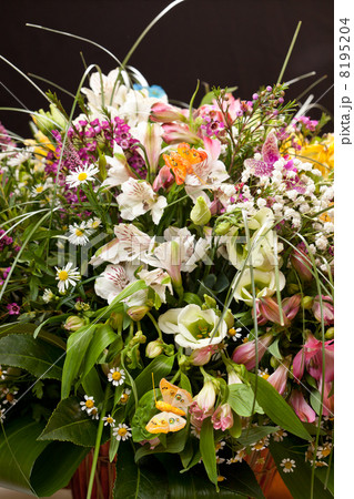 bouquet of colorful flowers 8195204