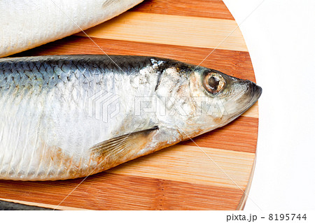 close up of Fish isolated on white close up of Fish isolated on white 8195744