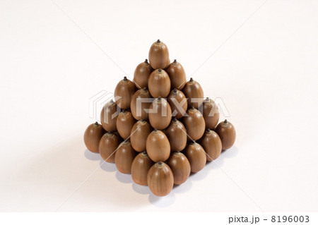 どんぐりピラミッド 8196003