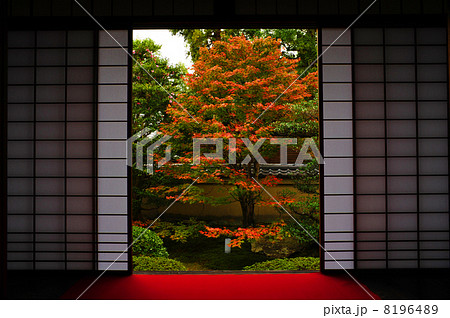 京都　雲龍院　秋の庭園 8196489