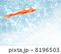 鯉 8196503