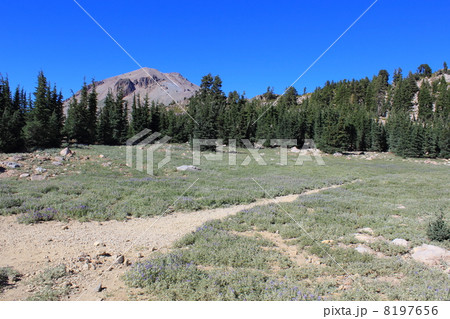 ラッセン火山国立公園 ラッセン火山国立公園 8197656