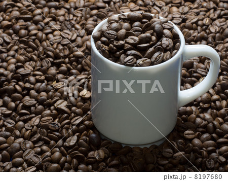 コーヒー豆と白いカップ 8197680