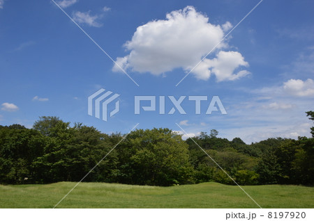 野川公園の空と雲　東京 8197920