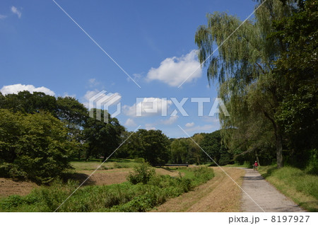 野川公園 小金井市 野川公園 小金井市 8197927